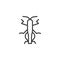 Grasshopper insect line icon