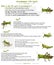 Grasshopper life cycle with explanation