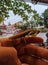 A grasshopper perches on a hand in the late afternoon, shot in portrait mode