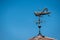 Grasshopper weathervane on rooftop of a building