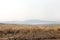 Grassland along Pench reservoir, Pench Tiger Reserve