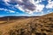 Grassland in autumn in Tibet China