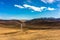 Grassland in autumn in Tibet China