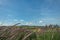 Grassland background with Wind turbines generating electricity