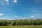 Grassland background with Wind turbines generating electricity