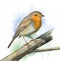 Grassland birds, robin