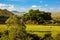 Grassland, bush and savanna landscape. Tsavo West, Kenya, Africa