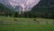 Grassland of cows on foot of Alps mountains