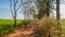 Grassland and a dirt road