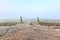 Grassland entrance on a cold winter day misty morning