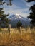 Grassland Fence Countryside Mount Adams Mountain Farmland Landscape