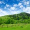 Grassland with fence and rural house