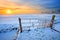 Grassland and fence in winter