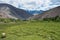 Grassland at Hemis Shukpachan Village in Sham Valley, Ladakh, Jammu and Kashmir, India