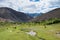 Grassland at Hemis Shukpachan Village in Sham Valley, Ladakh, Jammu and Kashmir, India