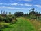 Grassland hiking trail with bushes and trees