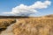 Grassland with hikking track in Tongariro National Park, New Zealand