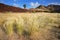 Grassland landscape, Namibia