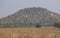 Grassland and Mountain in Khvini or Kheoni Wildlife Sanctuary, Dewas District, Madhya Pradesh