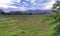 Grassland, Mountain, Sky, and Clouds