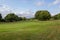 Grassland of an outdoor golf course