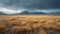 Grassland panoramic stormy landscape. AI generated art