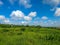 Grassland prairie field