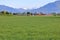 Grassland and Red Farm Buildings