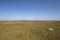 Grassland scenery in late summer in Zhangbei County, Hebei Province