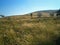 GRASSLAND WITH SLOPING HILL BEYOND IN SOUTH AFRICAN LANDSCAPE