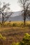 Grassland of Swaziland with Zebra, Mlilwane Wildlife Sanctuary