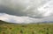 Grassland under the clouds