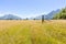 Grassland valley and Southern Alps, New Zealand.