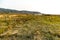 Grassland wetland fence water forest