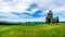 Grasslands along the Sun Peaks Road