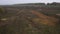 Grasslands dirt road tree