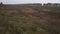 Grasslands dirt road tree