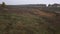 Grasslands dirt road tree