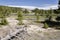 Grasslands, lakes and rivers in Yellowstone National Park