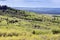 Grasslands National Park of Canada