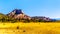 The Grasslands and Pine Valley Peak on the Kolob Plateau in Zion National Park, Utah, United States