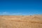 Grasslands in Western Cape farmlands