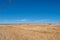 Grasslands in Western Cape farmlands