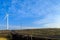 The grasslands of the windmill