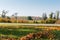 Grassplot covered with grass and fallen leaves against autumn forest