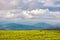 Grassy alpine meadow in cloudy weather