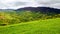 grassy alpine meadow on the hill