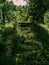 Grassy concrete stairs in the park