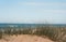 Grassy dune at the beach on a sunny, breezy summers day