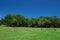 Grassy field with blue skies in a nature preserve in Sarasota Florida